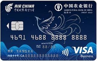 农业银行凤凰知音联名信用卡(VISA-金卡)