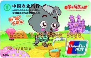 农业银行灰灰信用卡(金卡)