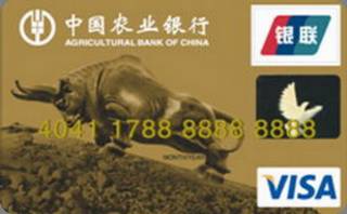 农业银行金穗公务信用卡(VISA-金卡)