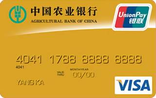 农业银行金穗双币贷记卡(VISA-金卡)