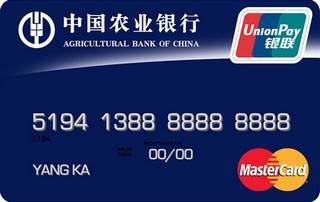 农业银行金穗双币贷记卡(万事达-普卡)