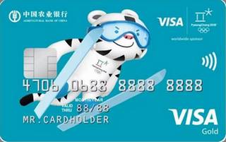 农业银行Visa2018冬奥会主题信用卡(金卡-蓝)
