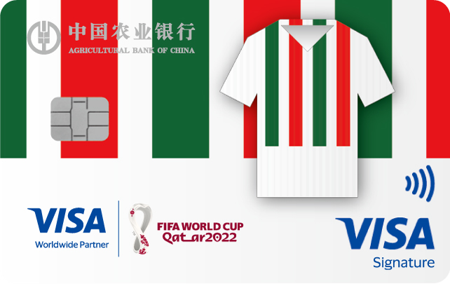 农业银行Visa FIFA世界杯主题信用卡(五盾之队-队服版)