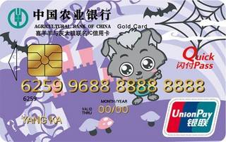 农业银行喜羊羊与灰太狼联名信用卡(小灰灰-金卡)
