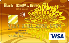 光大银行阳光标准信用卡(VISA版-金卡)