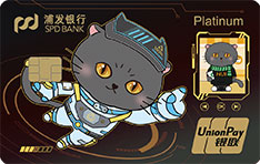 浦发银行萌宠主题信用卡(灰总数字藏品版)