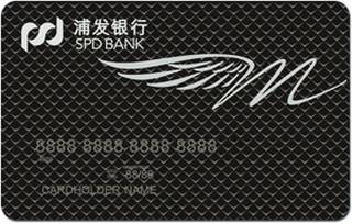 浦发银行白金梦卡信用卡(梦翼-不锈钢全金属)